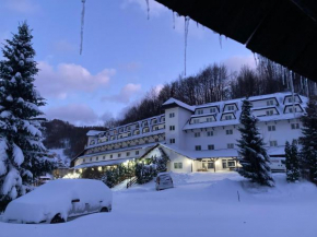 Ski sun and fun kopaonik apartmani Brzeće